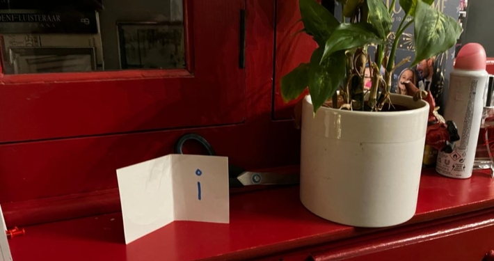 Bij-Rian-en-Mathieu-2-710×375-1